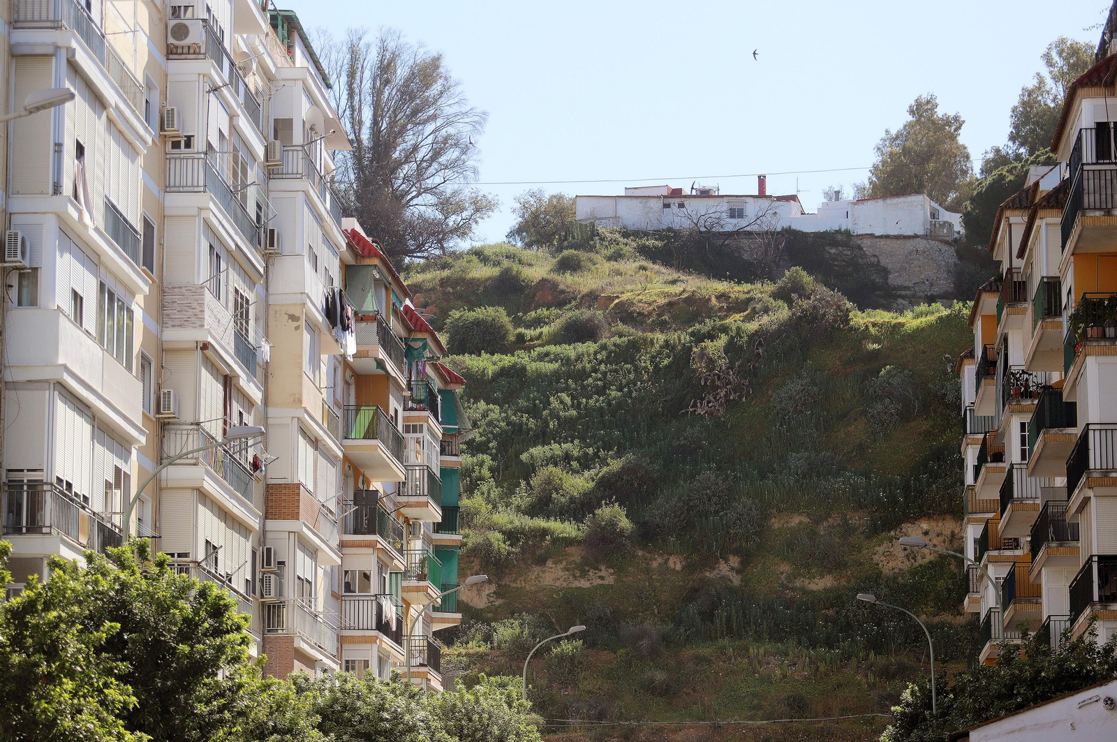 Barrio a Barrio: Imágenes de la Barriada de Los Dolores