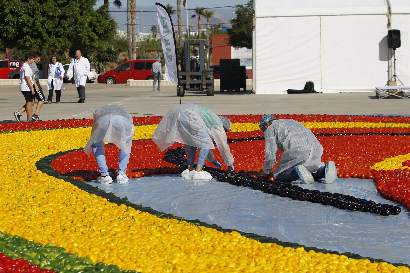 Fotogalería Récord Guinness Corazón Hortalizas Almería