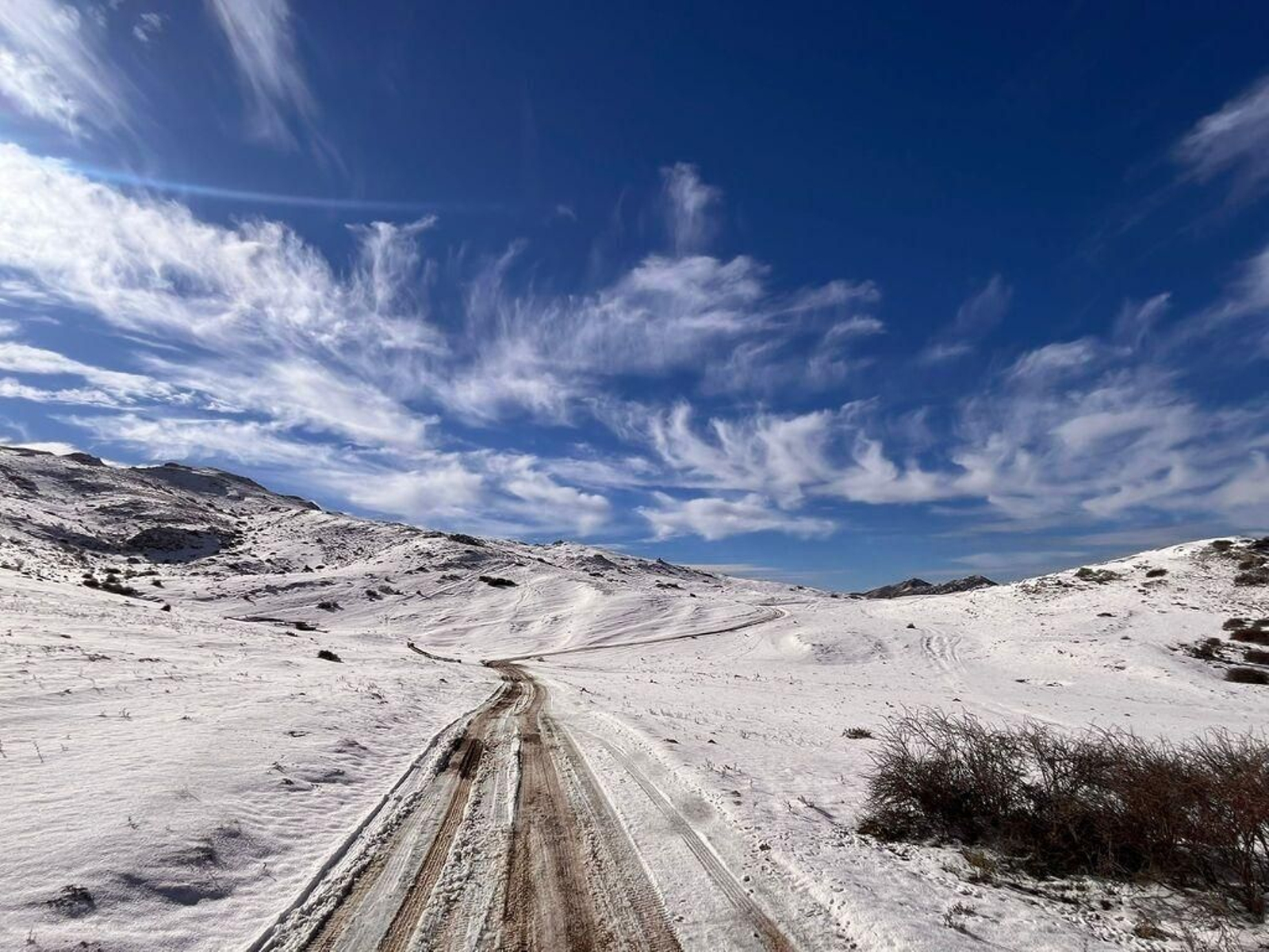 Campos de Hernán Pelea en Santiago Pontones.