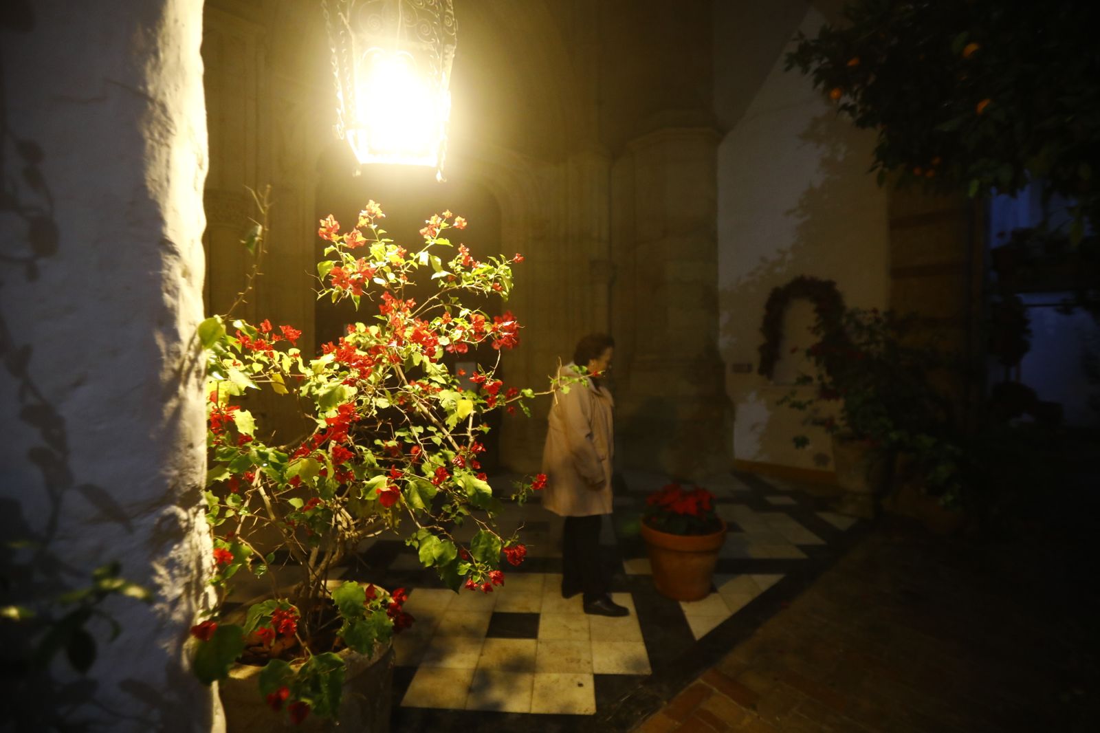 Los Patios de Córdoba abren por Navidad, en imágenes