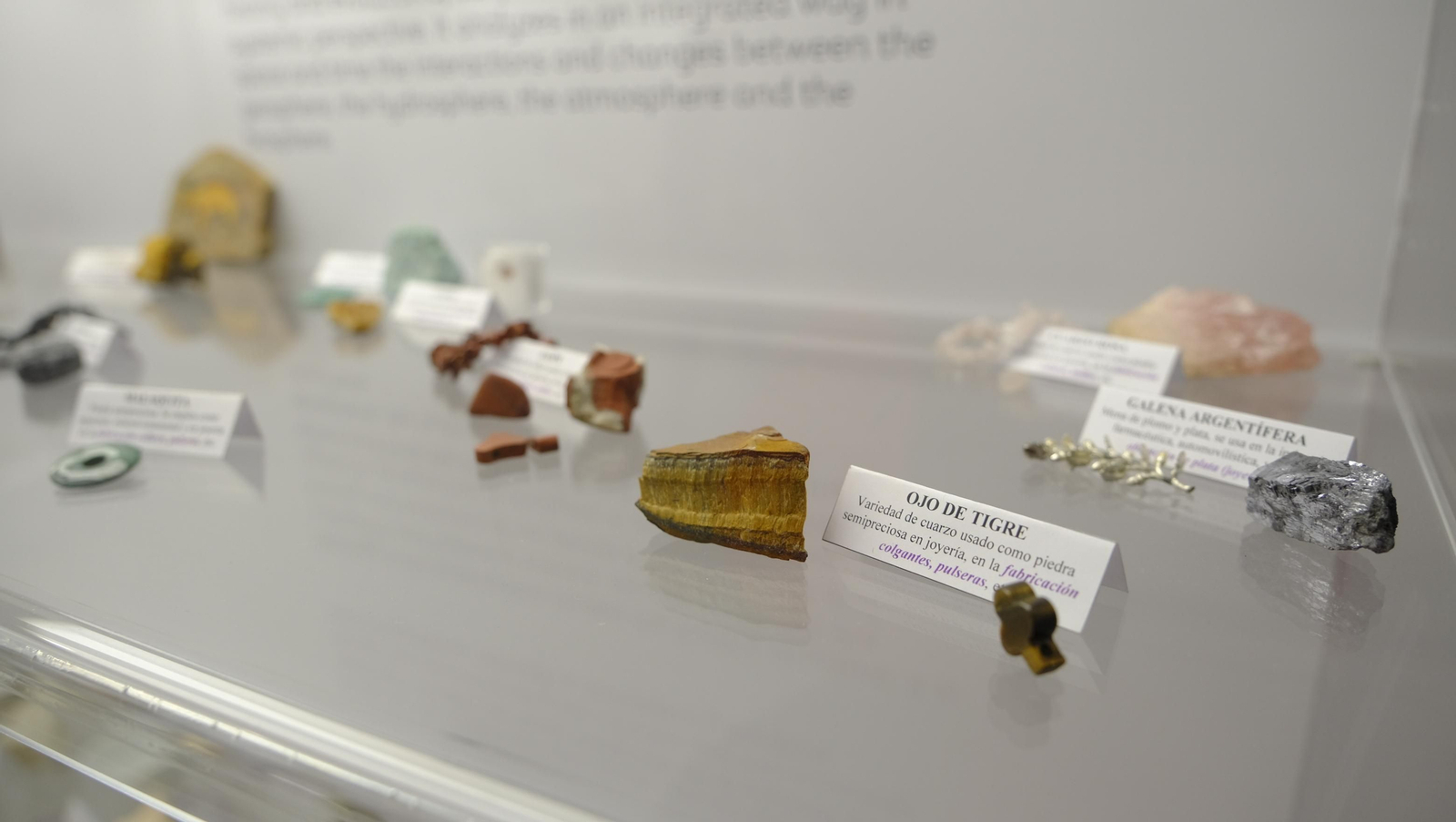 Descubre en estas fotos las maravillas que esconde el Pabellón de Historia Natural de la UAL