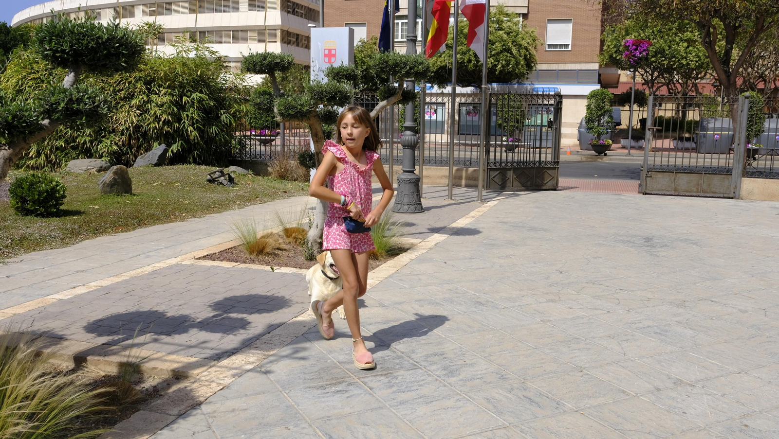 Aria, una perra adoptada, Campeona de España de búsqueda y marcaje de objetos, en imágenes