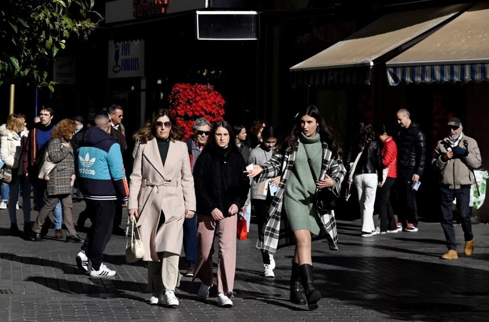 Los cordobeses ultiman las compras antes de Nochebuena, en imágenes