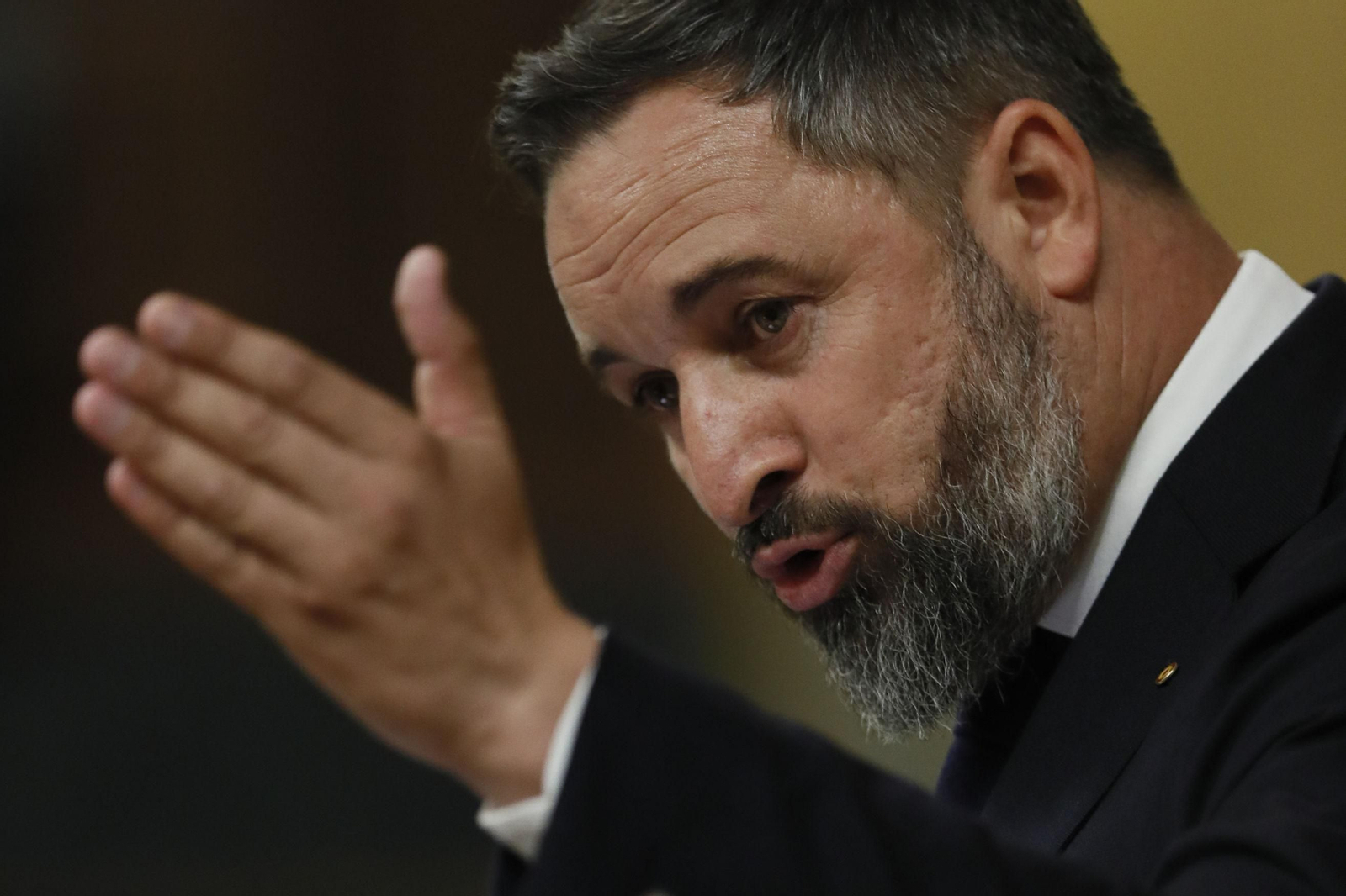 Santiago Abascal, líder de Vox