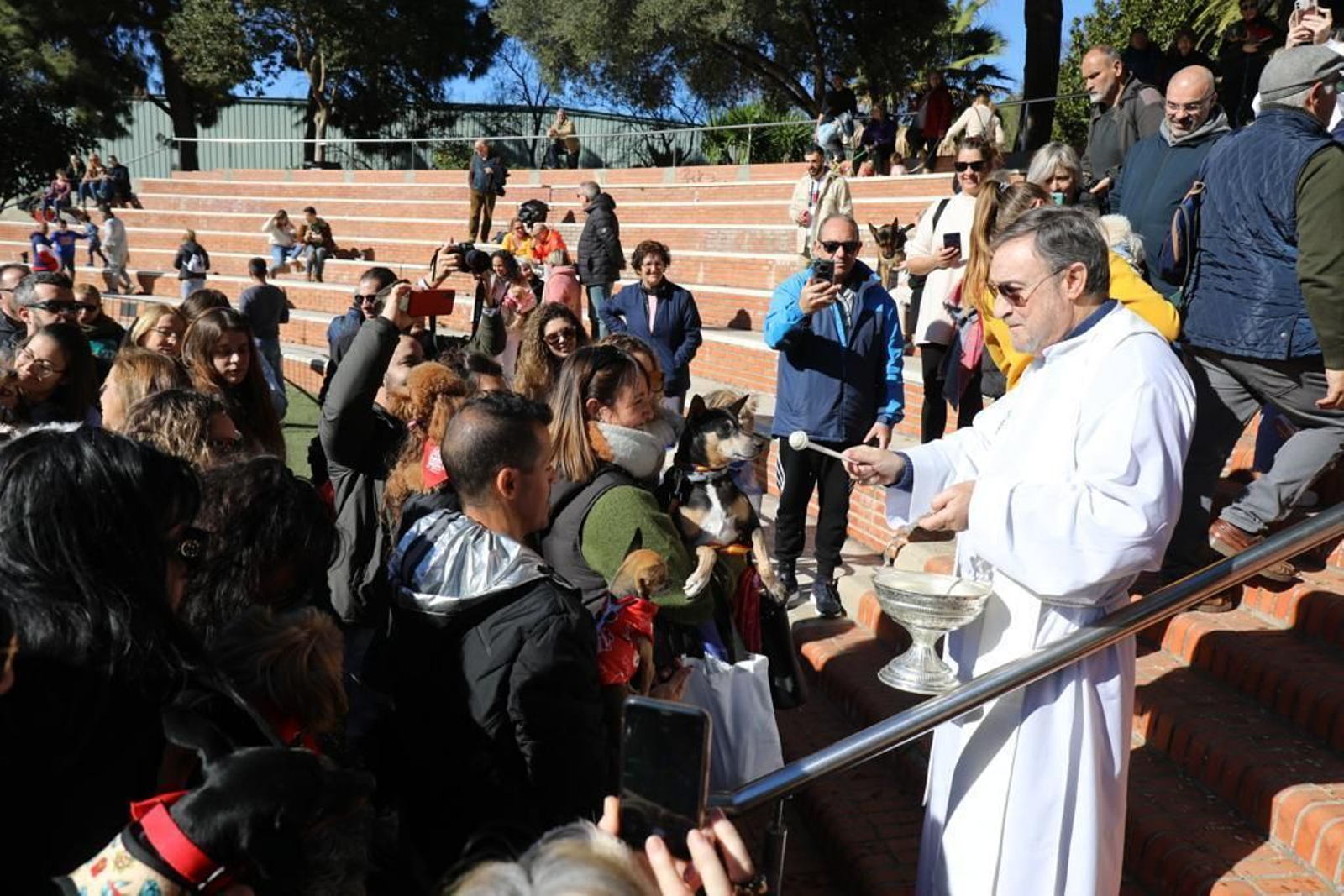 Así ha sido la celebración de San Antón en San Fernando