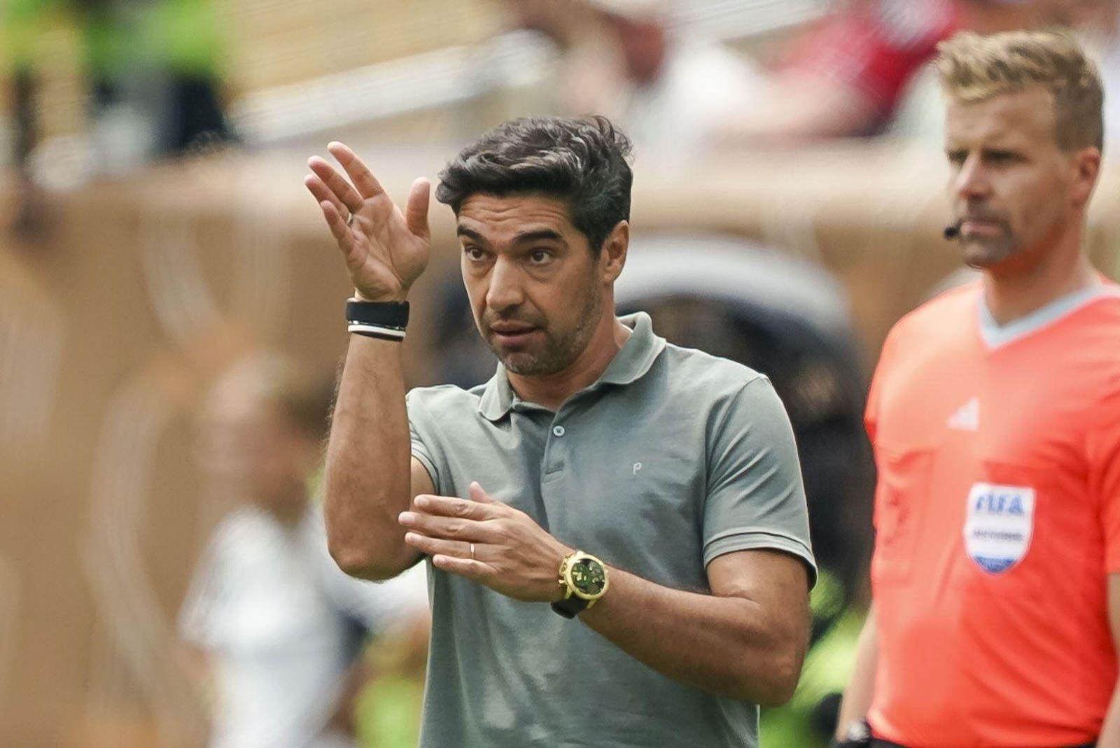 Palmeiras-Botafogo (63).jpg