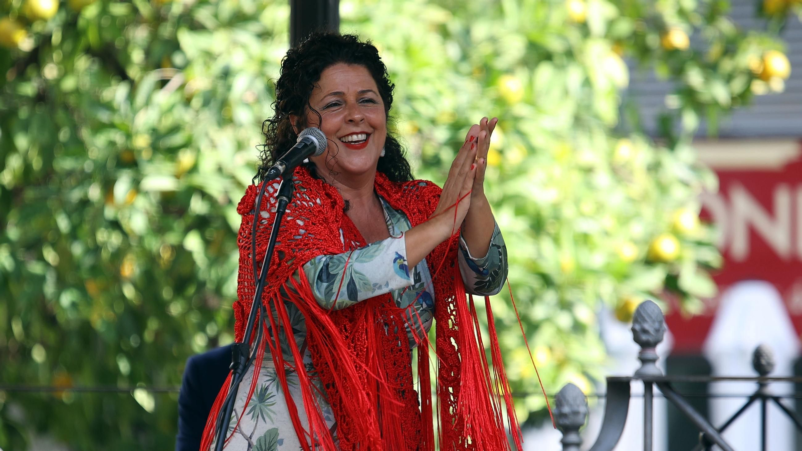 Imágenes del Día del Flamenco 2024 en Jerez