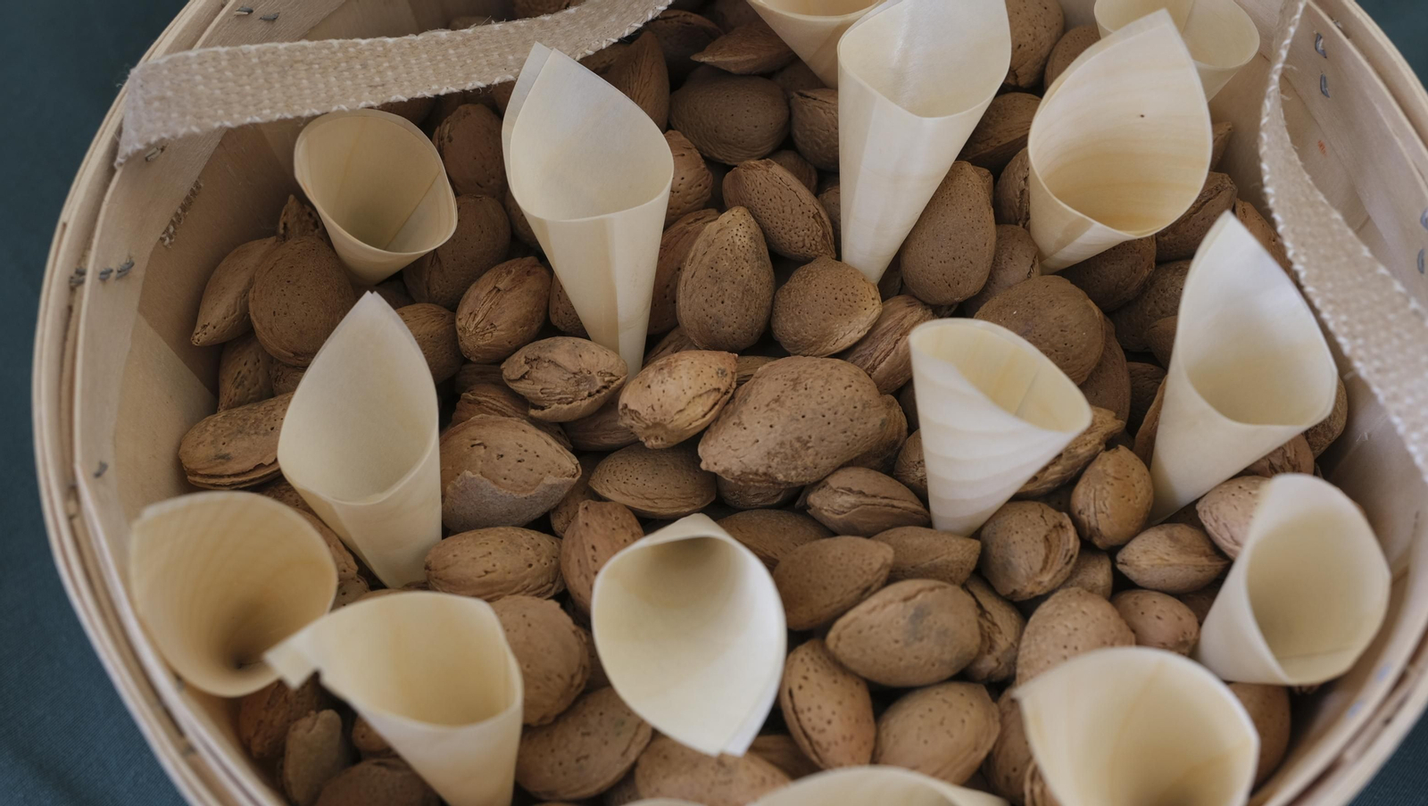 Imágenes de la Terracultura Chirivel 2023, feria de agricultura y maquinaria