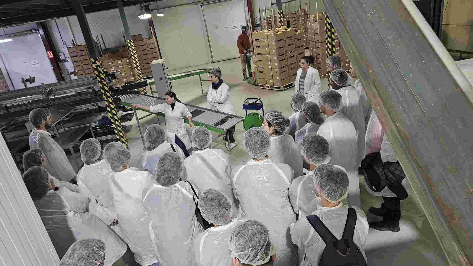 Proyecto para integrar a jóvenes universitarios en cooperativas agrarias