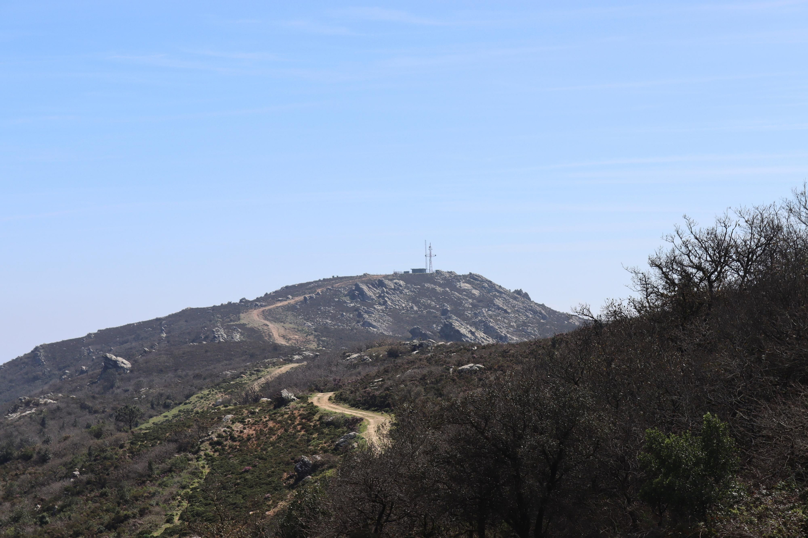 Fotos de la flora y fauna del Parque Natural de Los Alcornocales
