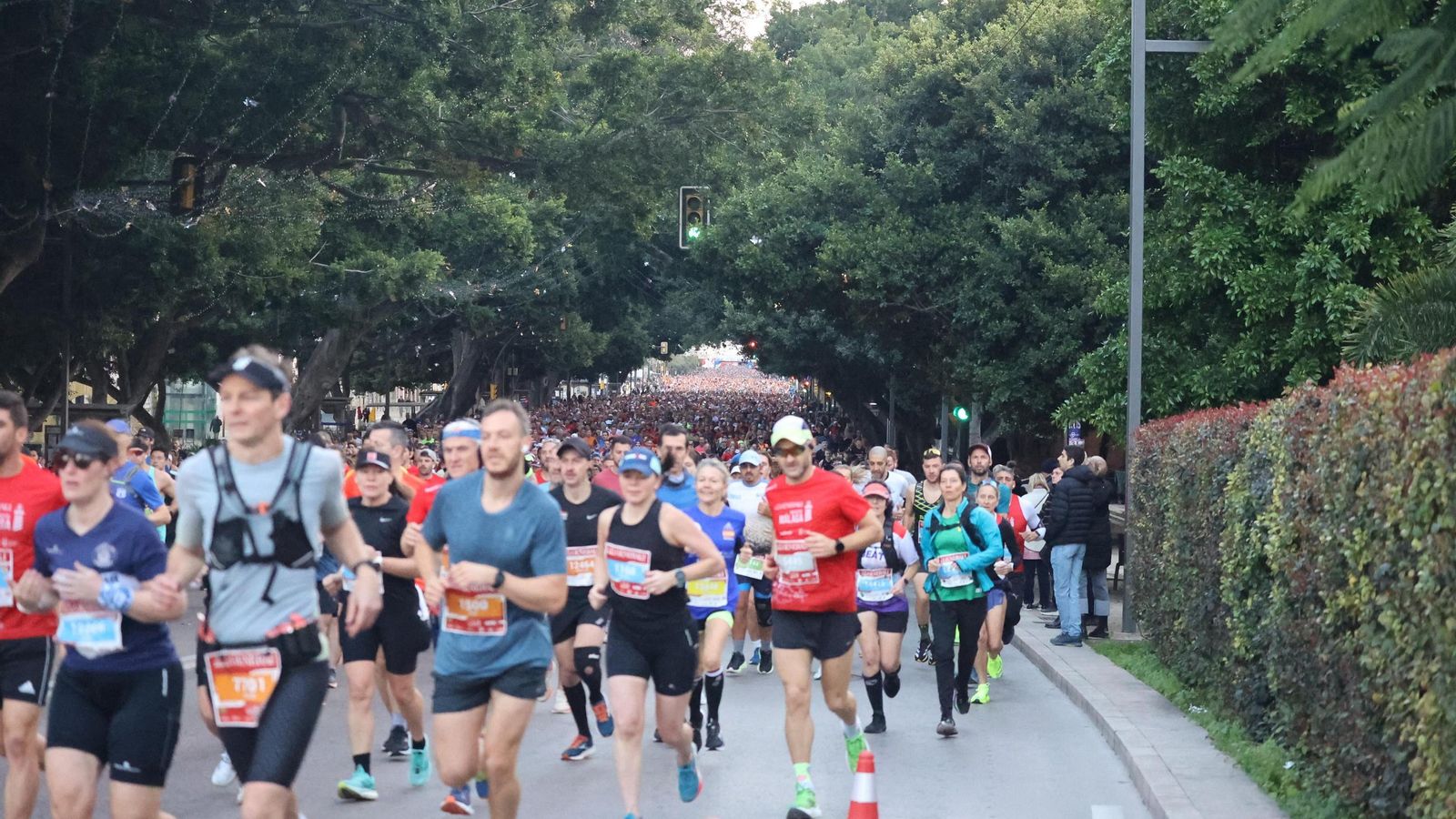 Las mejores fotos de la Maratón de Málaga 2024