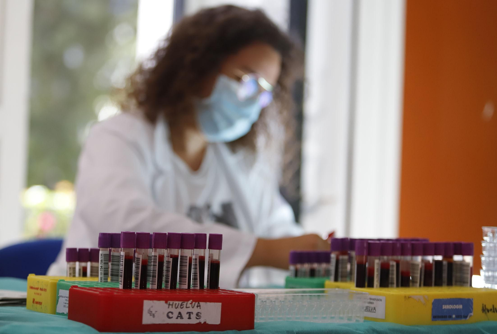 Macrocolecta de sangre en la Casa Colón