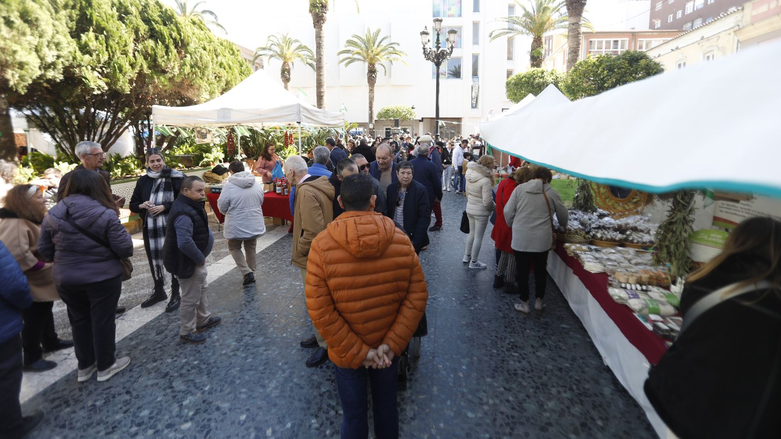 Fotos de la celebración del Día de Andalucía en La Línea