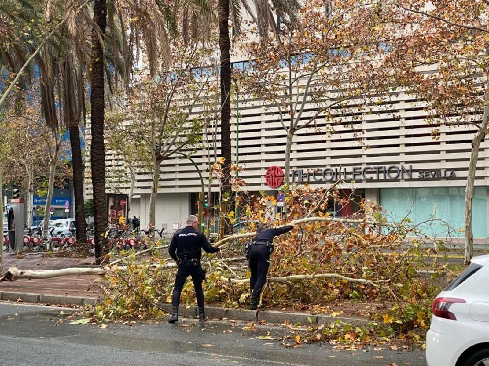 Las imágenes del temporal que azota Sevilla