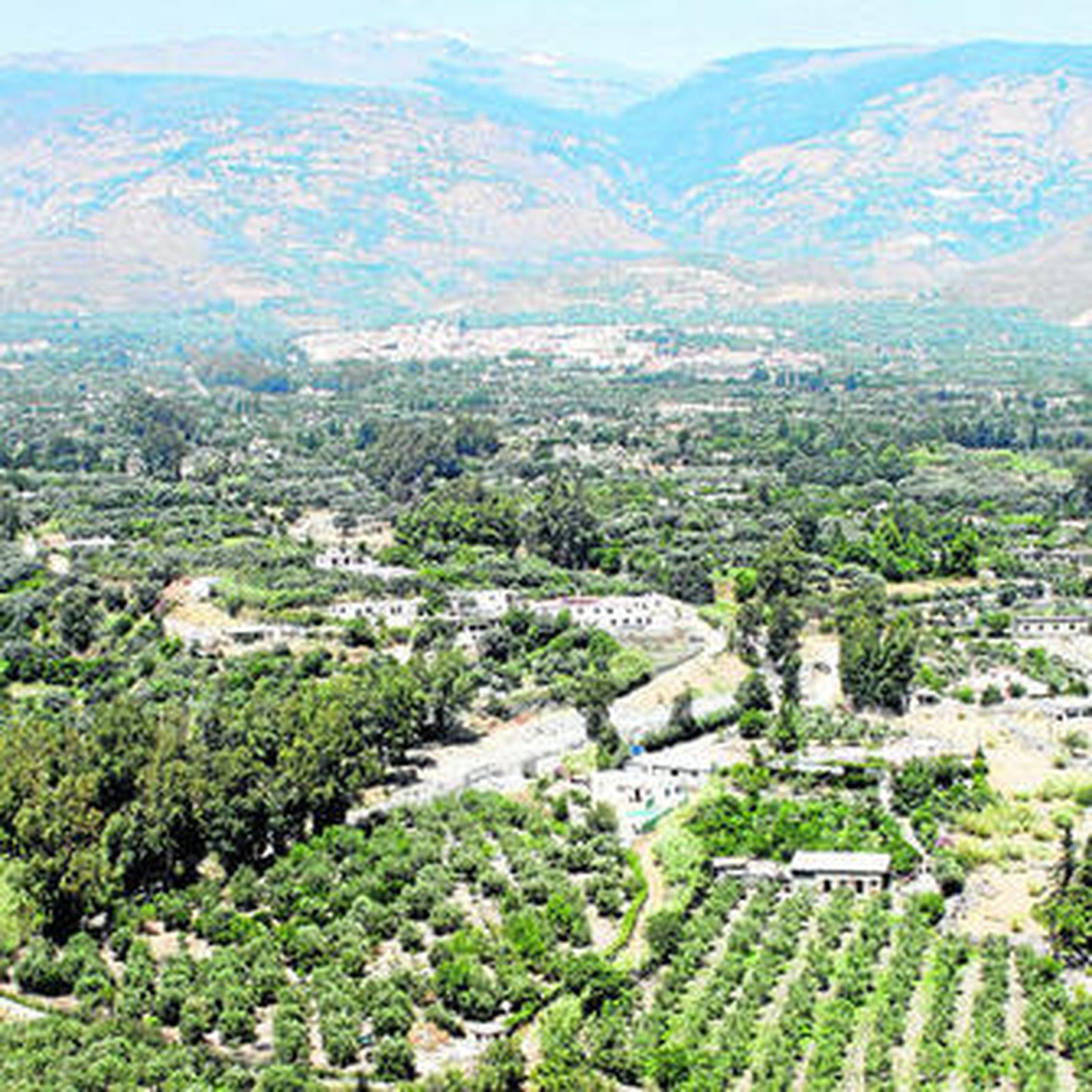 La agricultura ecológica, clave para el desarrollo comarcal