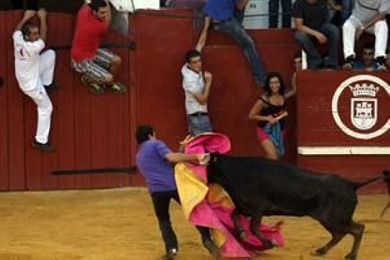 Con la suelta del llamado Toro del Aguardiente se pone el broche de oro a la feria de la localidad. No hubo que lamentar graves incidentes./Fotos:Paco Guerrero

Foto: Paco Guerrero
