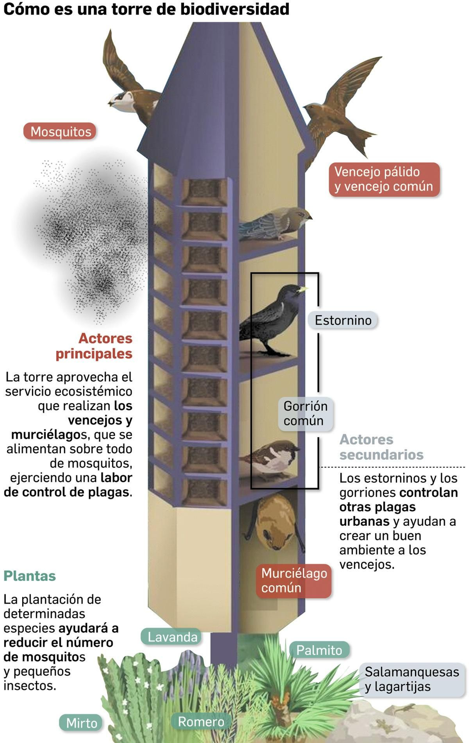 Cómo es una torre de biodiversidad. Fuente: elaboración propia.