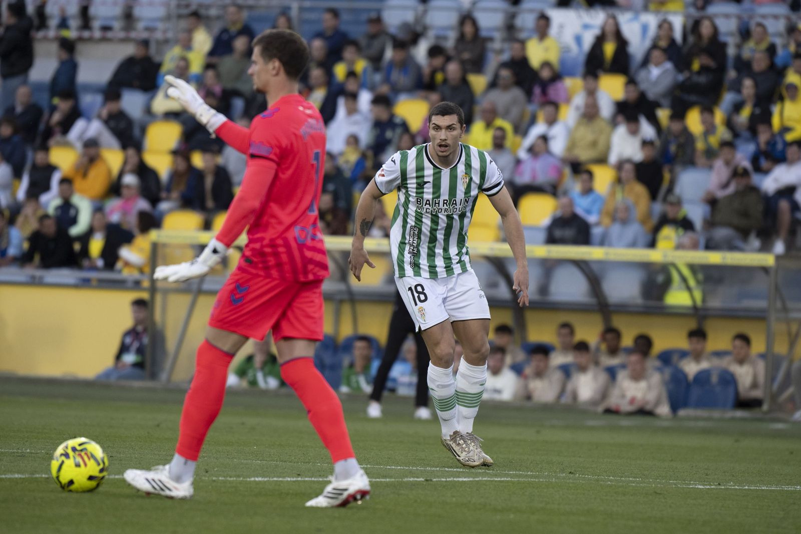 Las mejores fotos del triunfo del Córdoba CF ante Las Palmas
