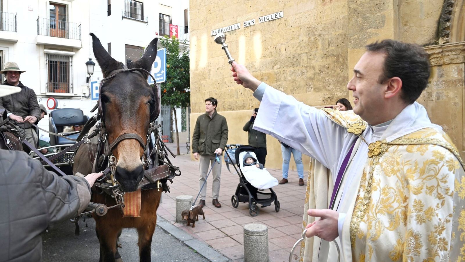 La bendición de animales por San Antón en Córdoba