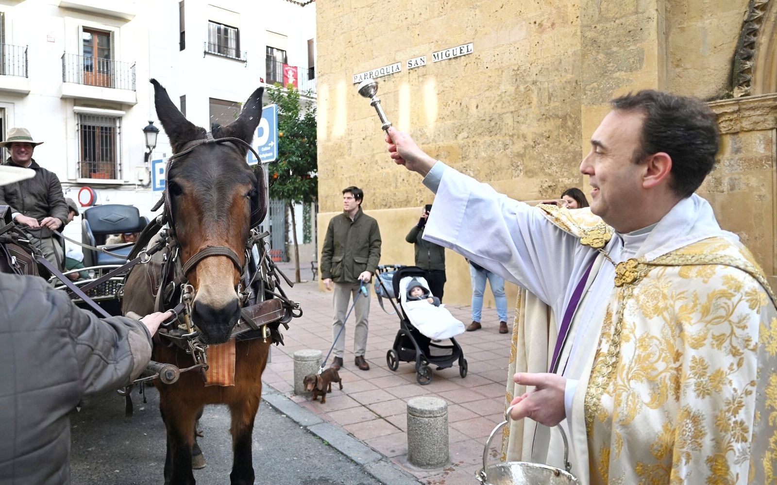 La bendición de animales por San Antón en Córdoba