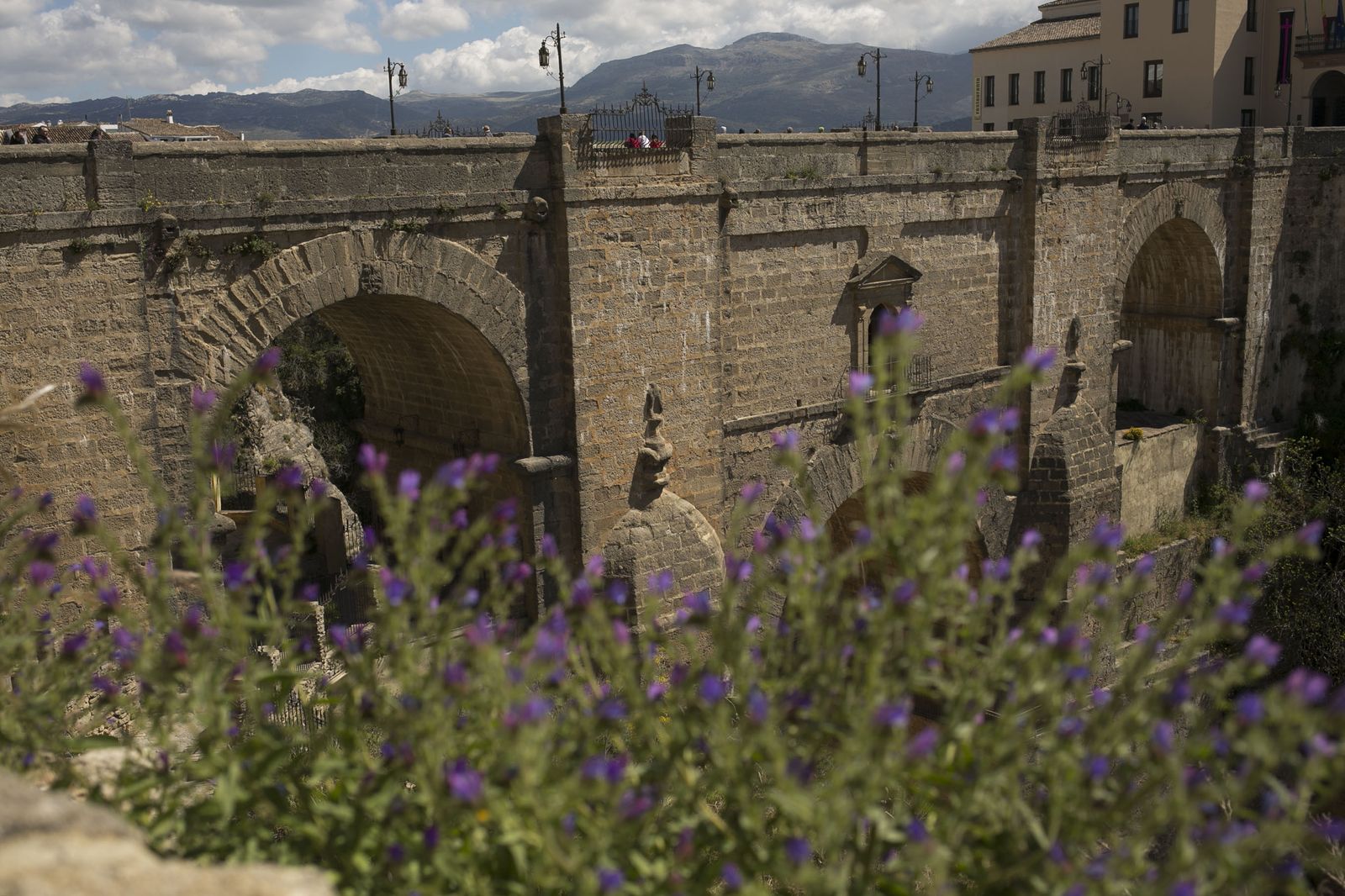 La primavera deja ver su paleta de color