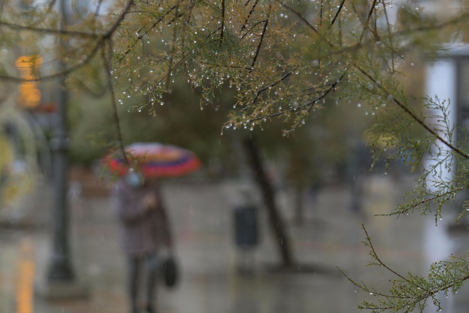 Fotos: día de lluvia en Granada
