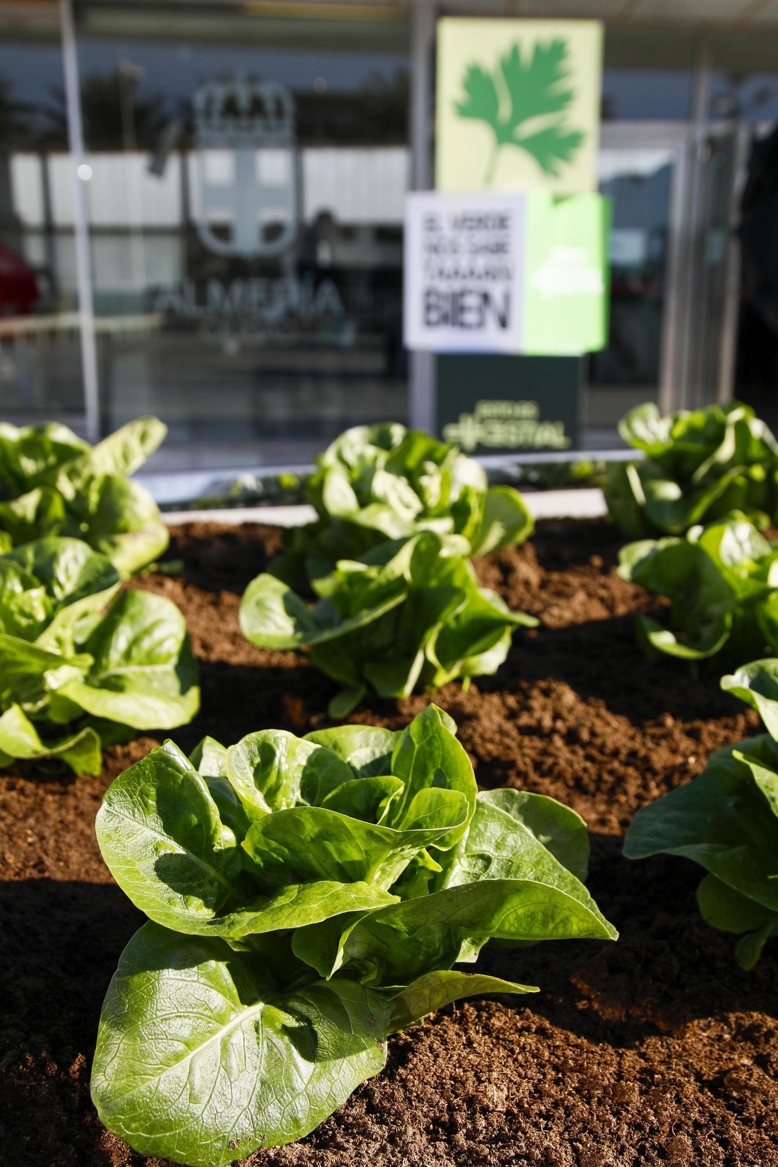 Imágenes de la inauguración de Vestial 20205 en el Palacio del Toyo