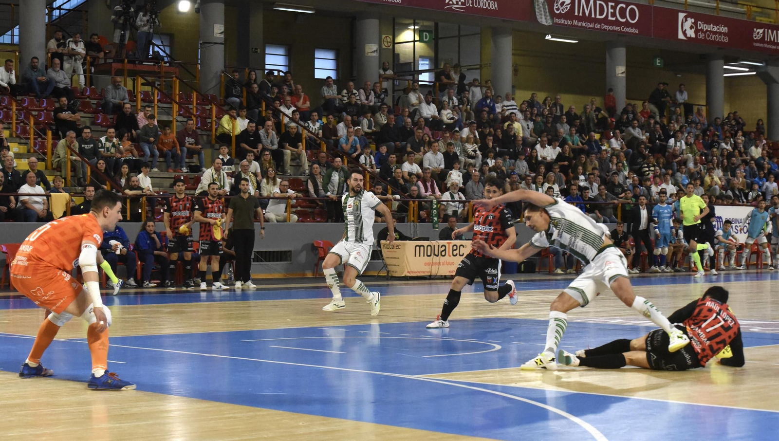 Las mejores fotos del ambiente en Vista Alegre para el Córdoba Futsal - AD Sala 10 Zaragoza