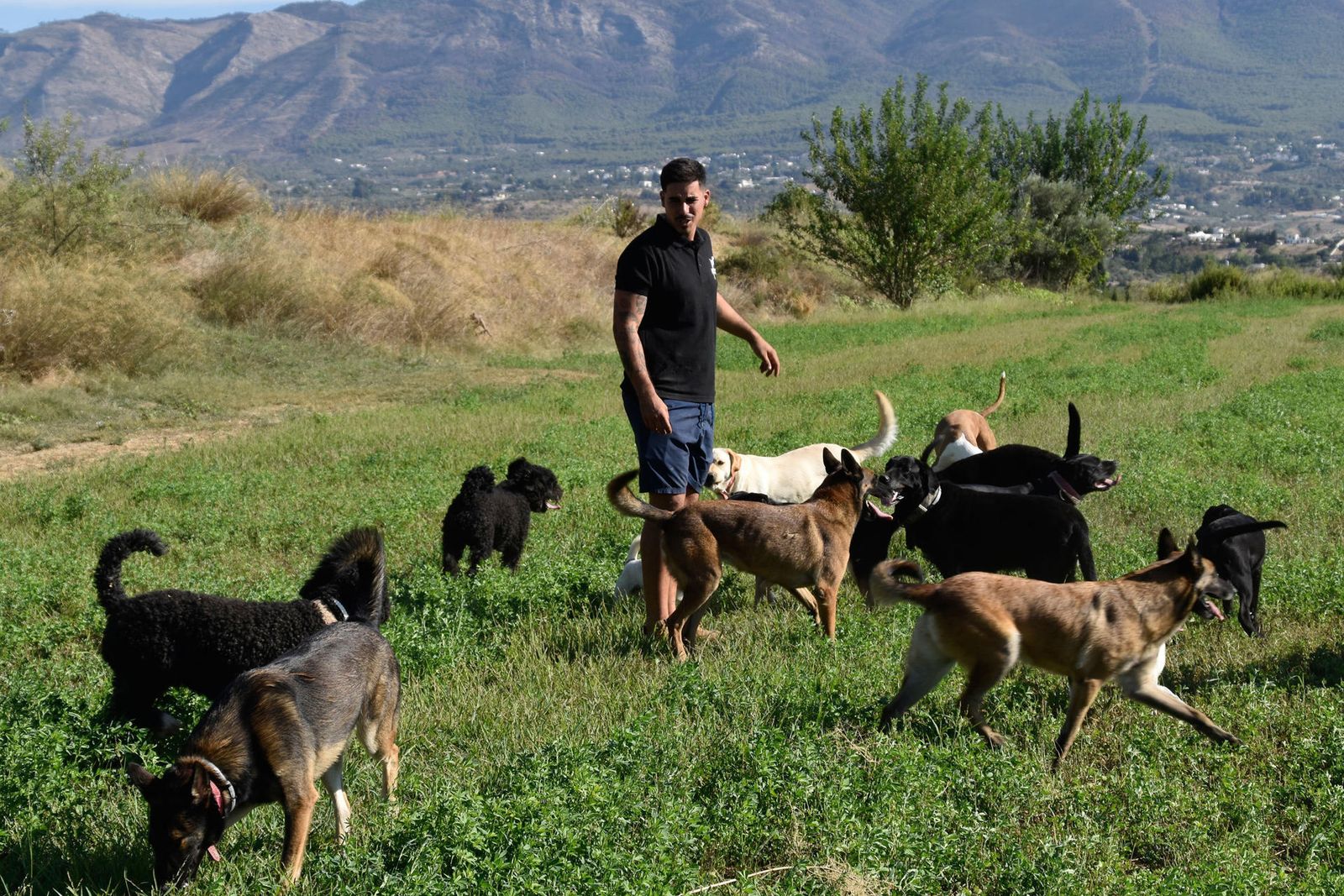 El educador canino Adrián Navarro pasea junto a los perros de su centro Lopecan por Cártama.