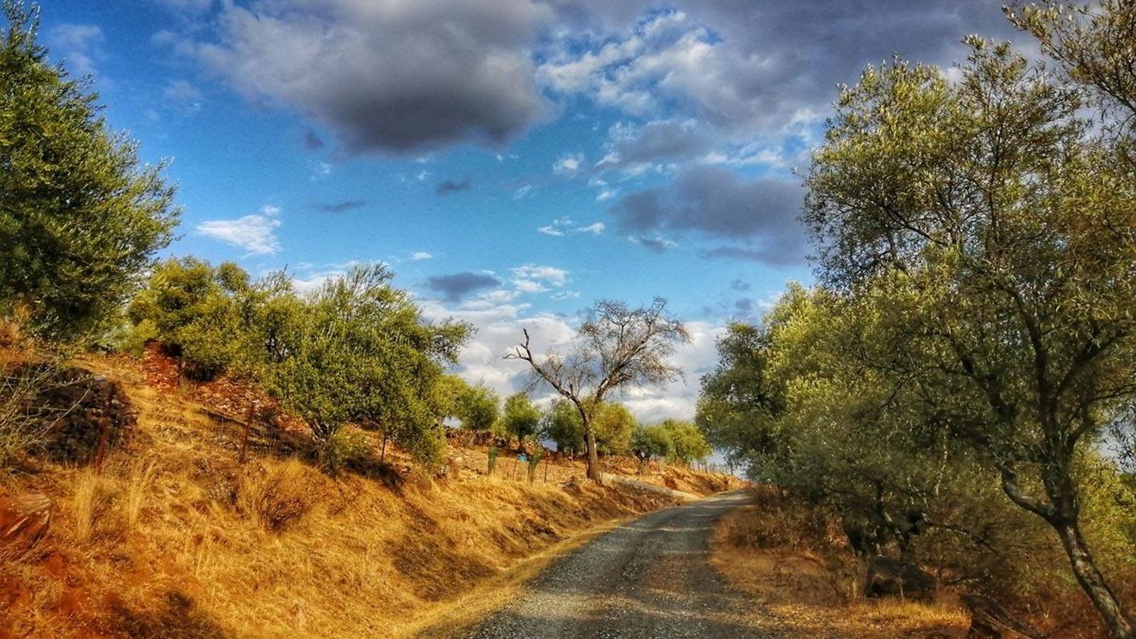 Camino del Bujo