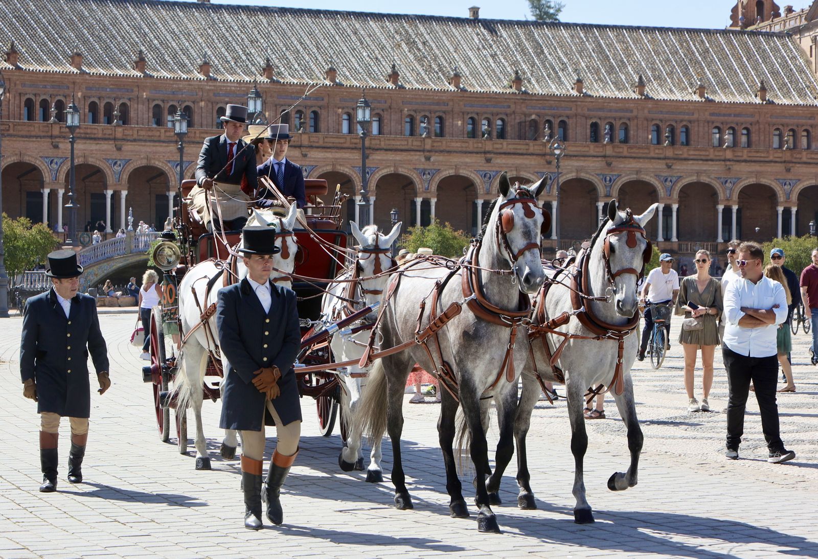 X copa CIAT   Concurso de Enganches