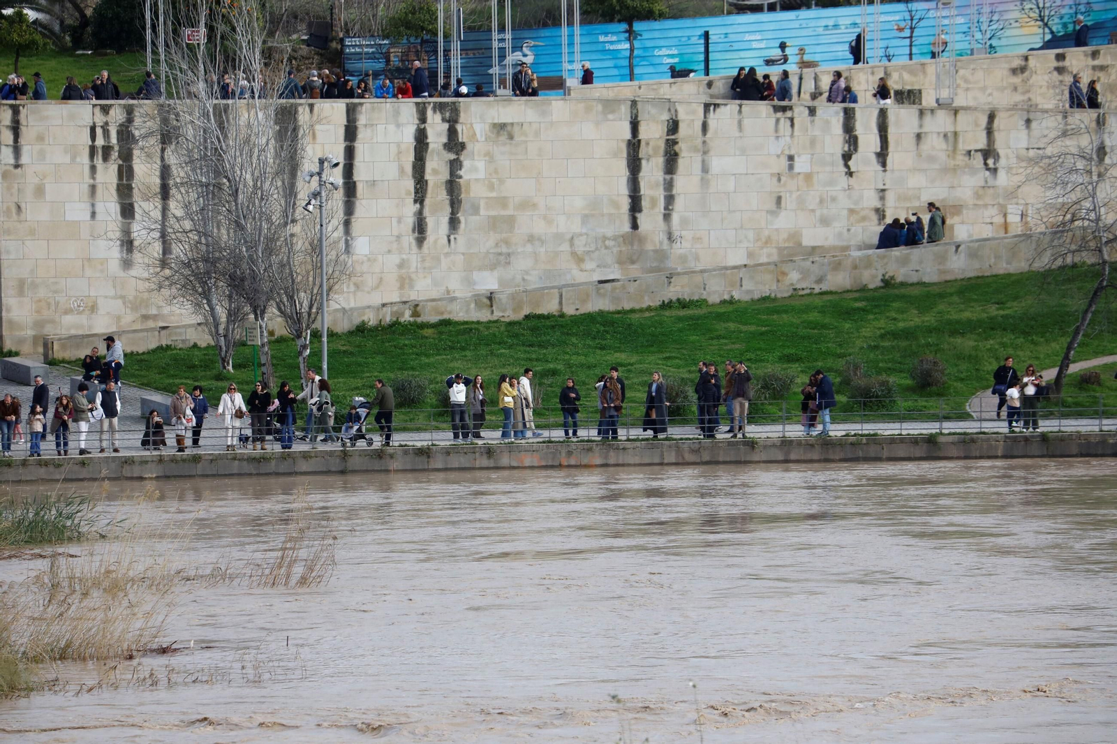 Los cordobeses se echan a la calle en un sábado soleado y sin lluvia, en imágenes