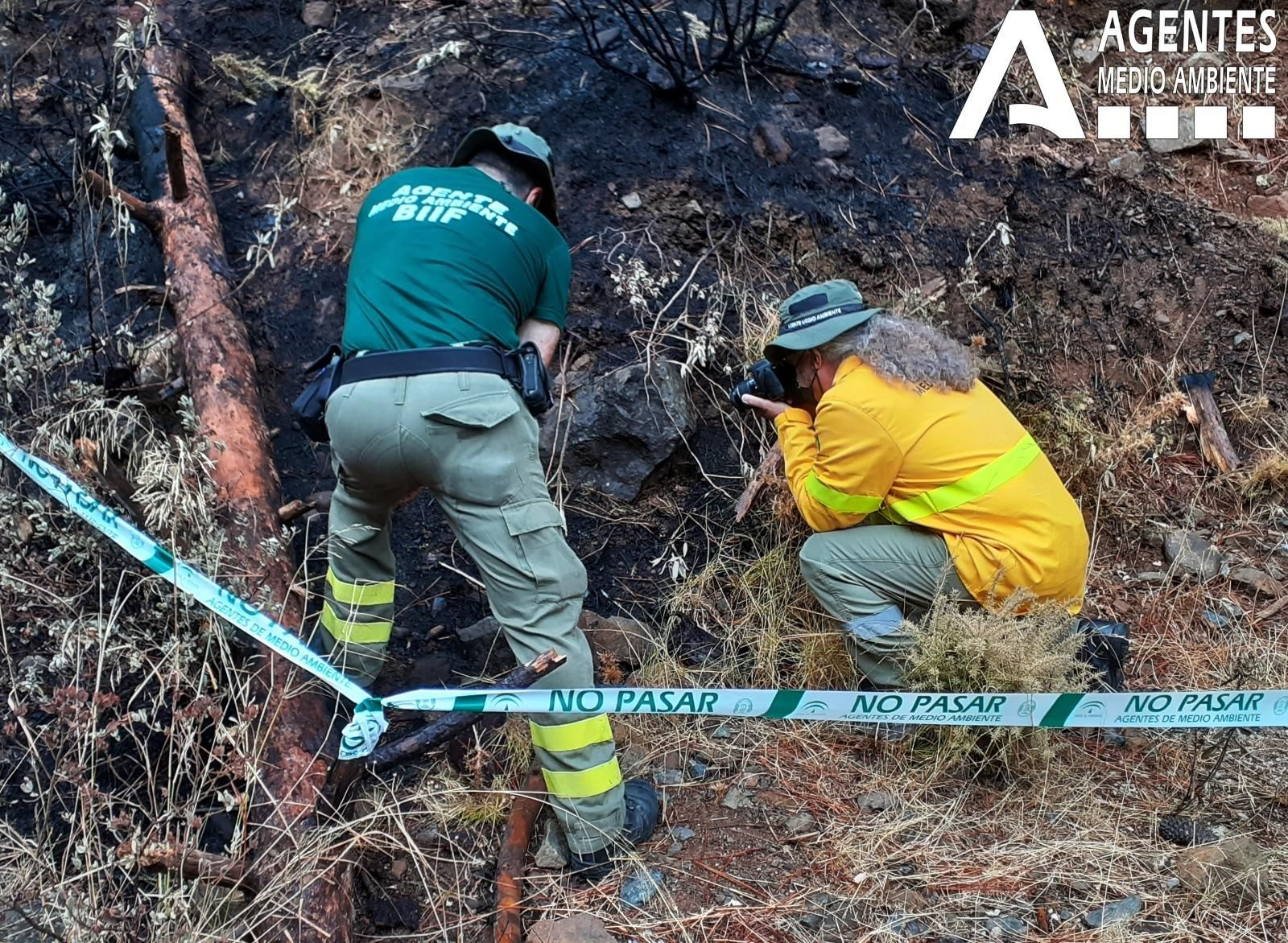 Técnicos en la zona afectada en Sierra Bermeja