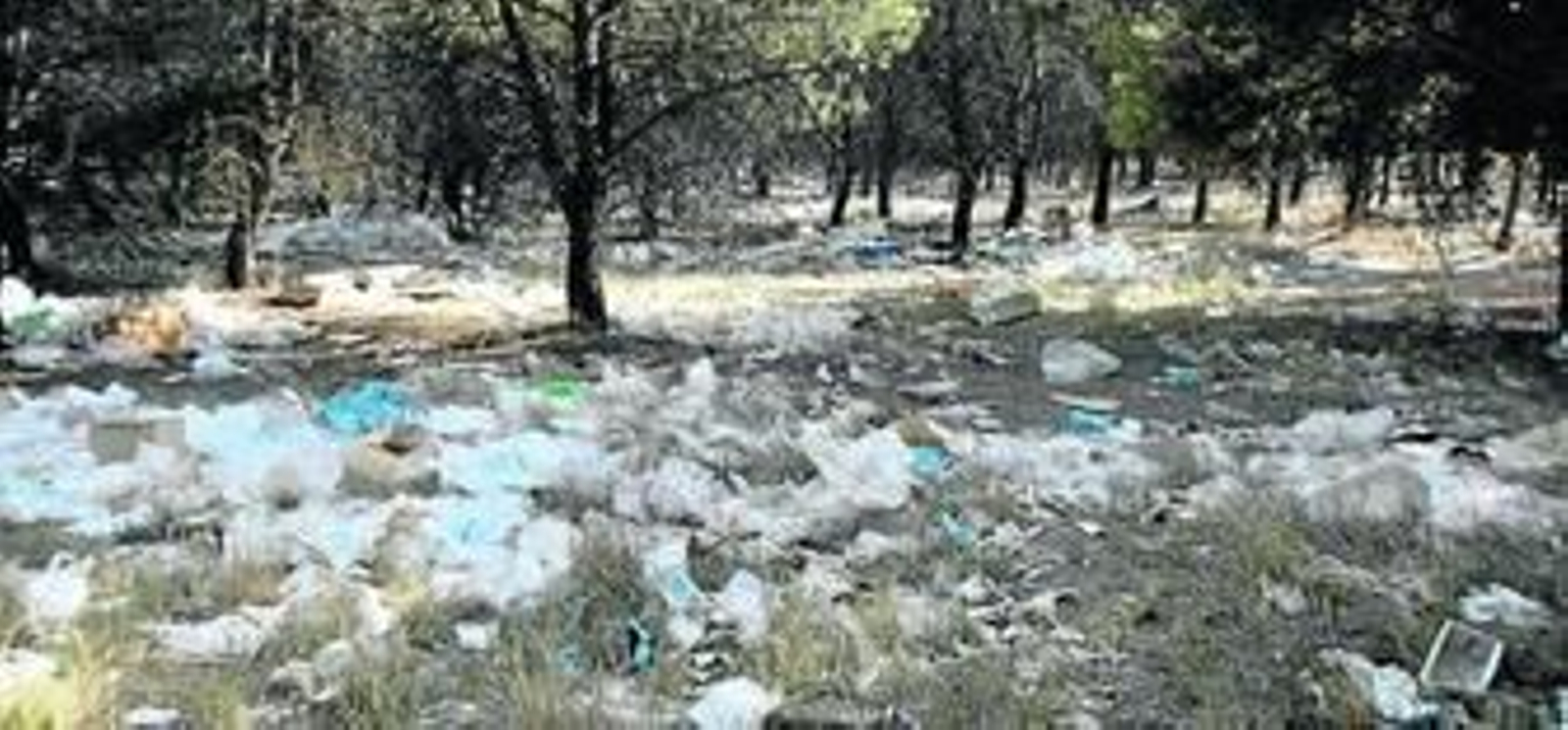 La suciedad que se acumulaba en el parque de San Ildefonso.