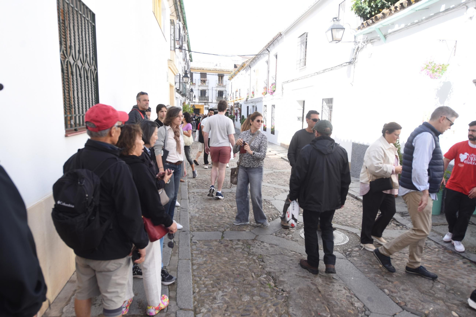 Los Patios de Córdoba de la Ruta del Alcázar Viejo, en imágenes