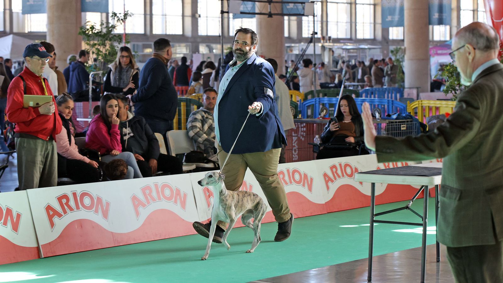 Imágenes de la 49ª edición de la Exposición Nacional Canina y la 25ª edición de la Exposición Internacional Canina en IFECA Jerez