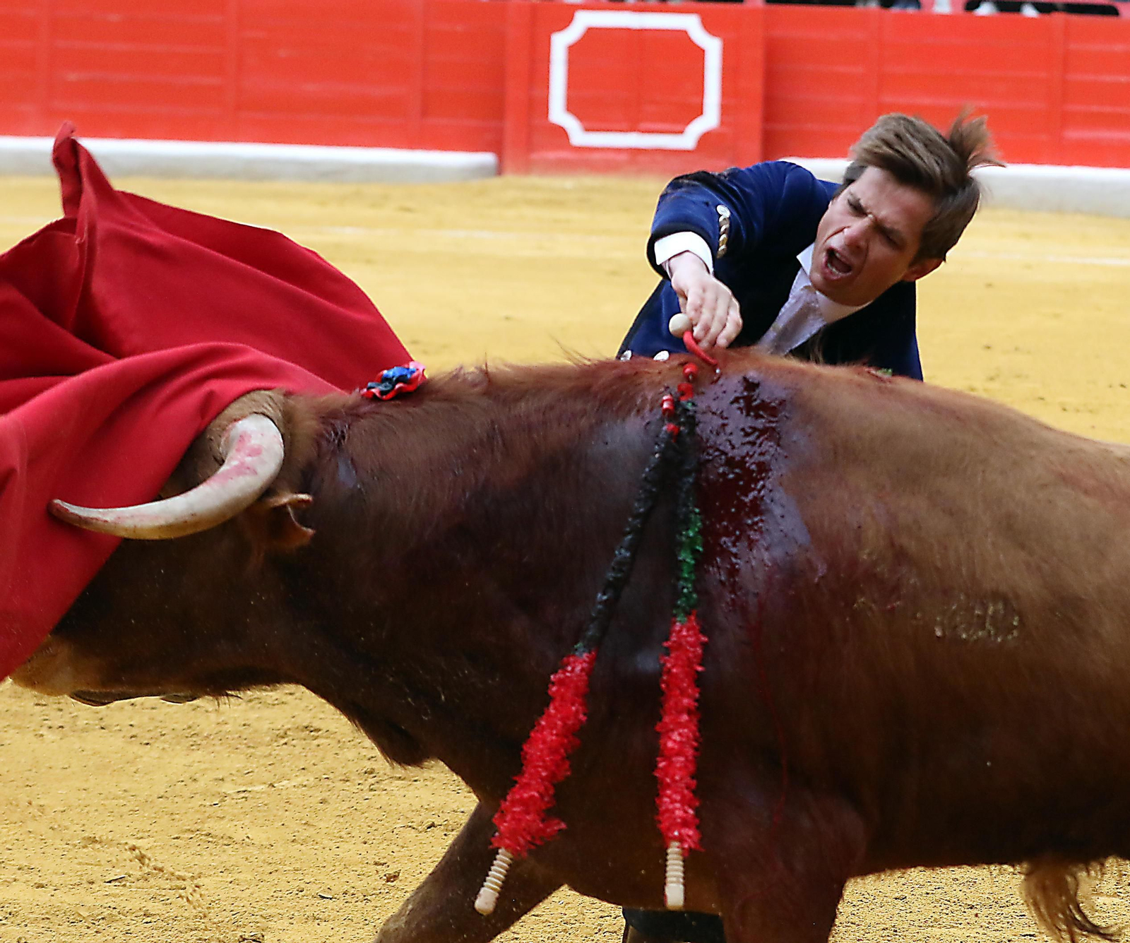 El Festival Taurino Granadown, en imágenes