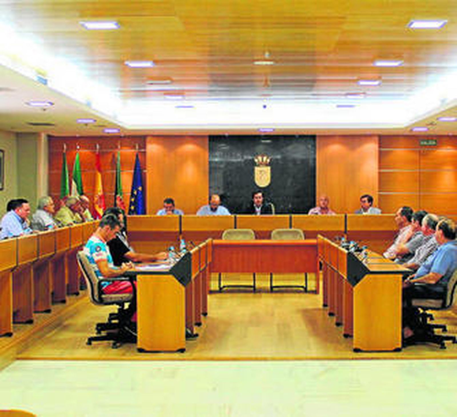 El Pleno versó sobre la problemática de Elsur.