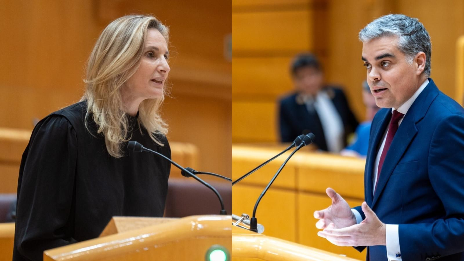 Los senadores del PP Vicente Azpitarte y Paloma Martín