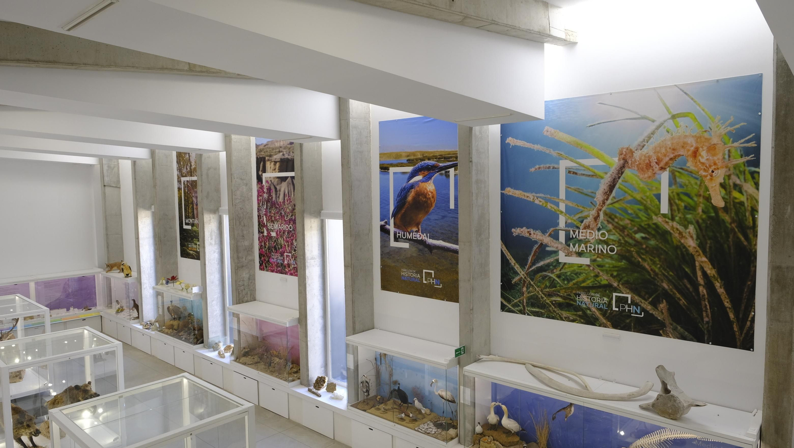 Descubre en estas fotos las maravillas que esconde el Pabellón de Historia Natural de la UAL