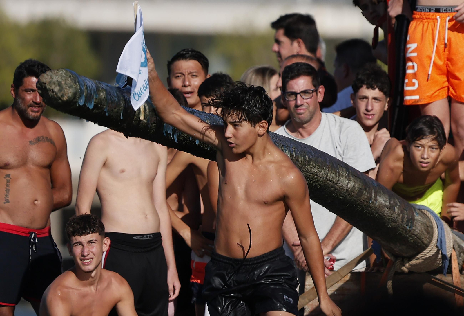 Las fotos de la cucaña