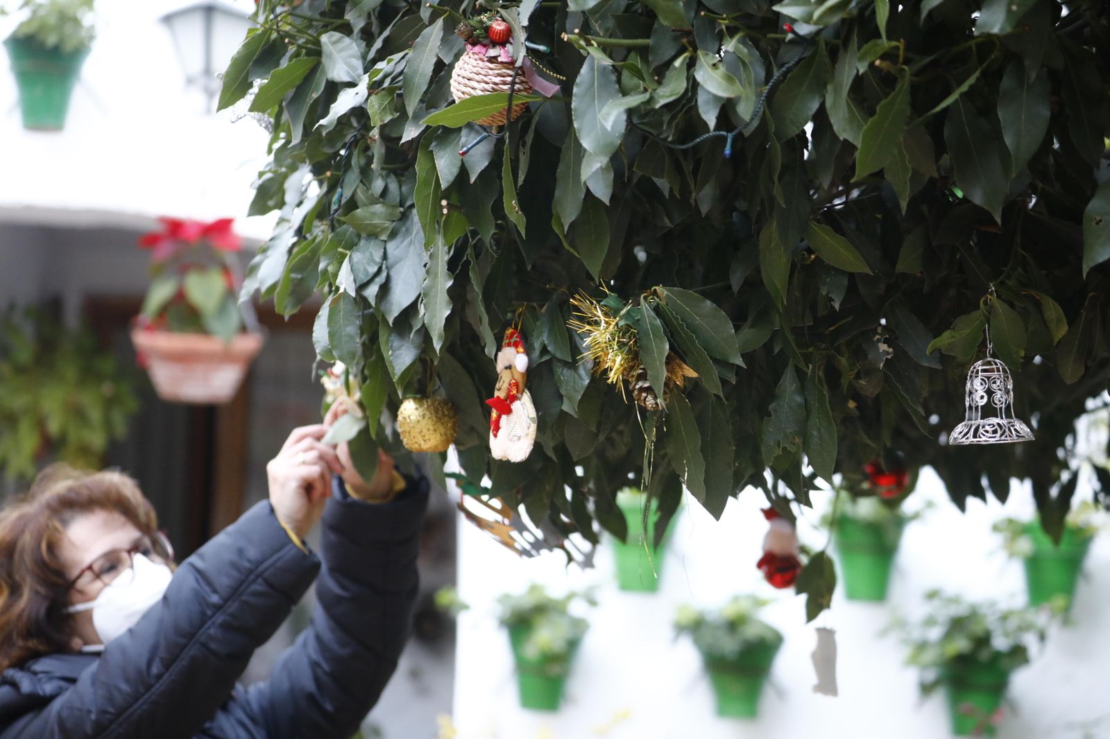 Las fotografías de los Patios de Córdoba en Navidad