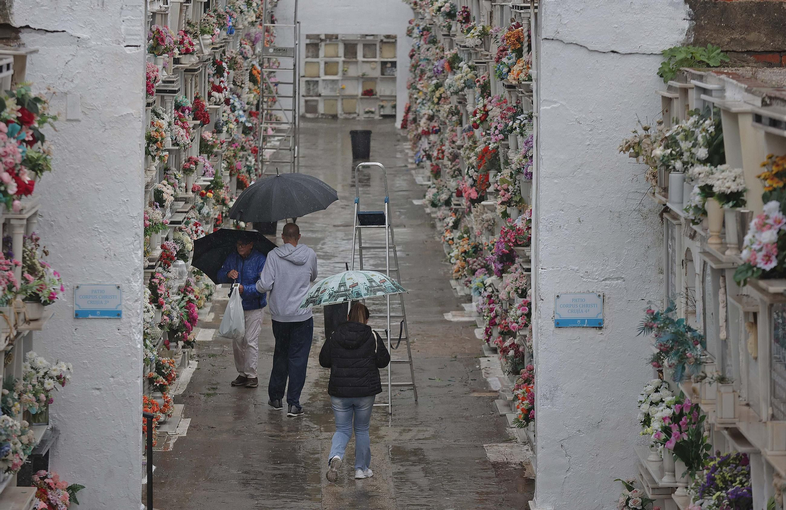 Fotos de los preparativos para Tosantos en el cementerio de Algeciras