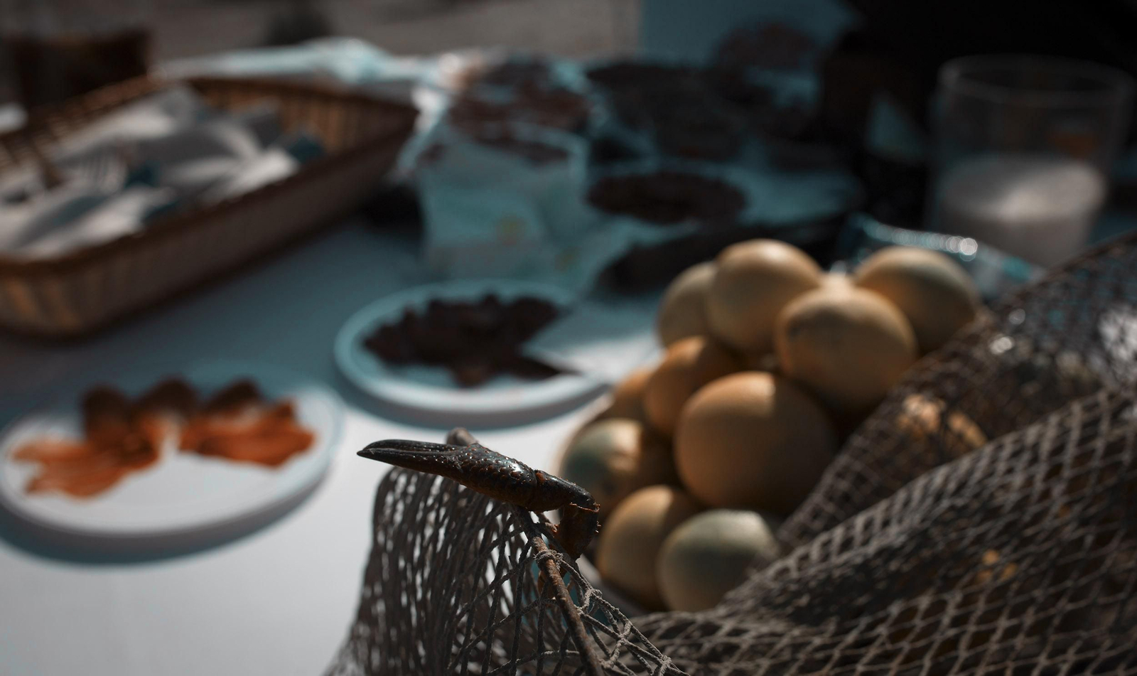 La ruta del arroz, en imágenes