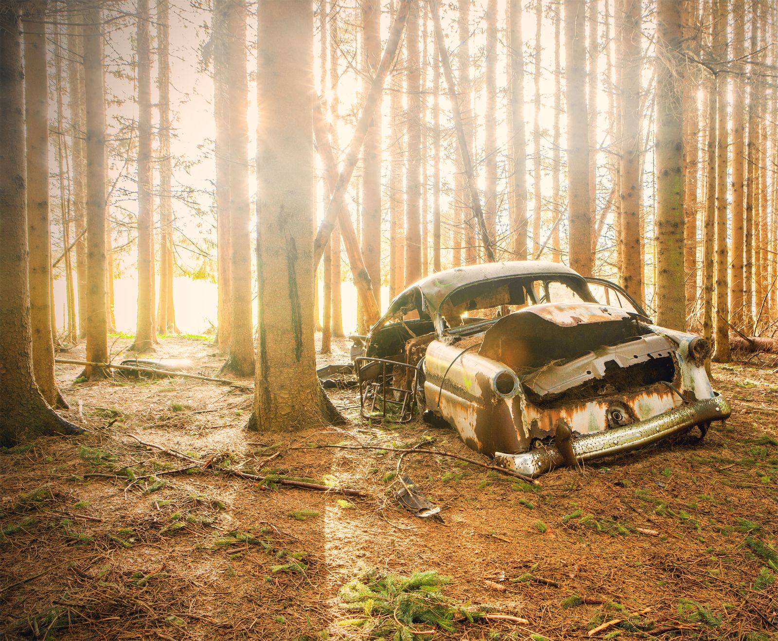 'El último pasajero', obra ganadora en el concurso de fotografía.