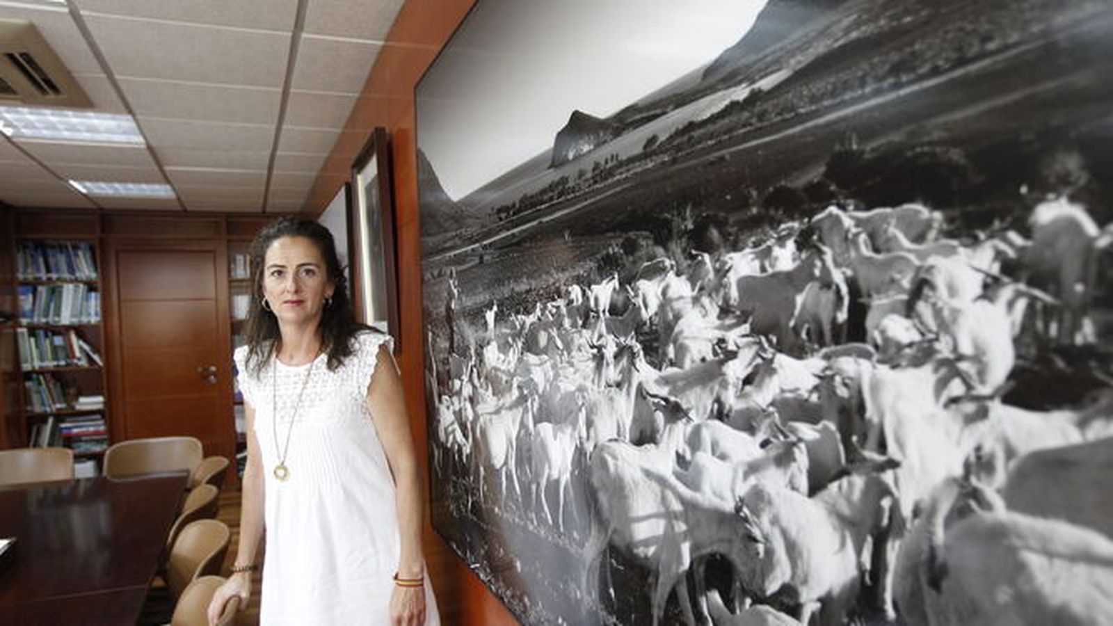 Aránzazu Martín atiende a ‘Diario de Almería’ en su despacho.