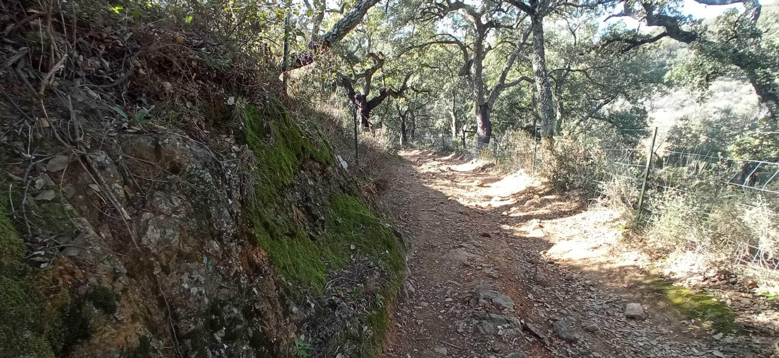 Fotos de la Ruta circular Aracena-Linares de la Sierra-Aracena