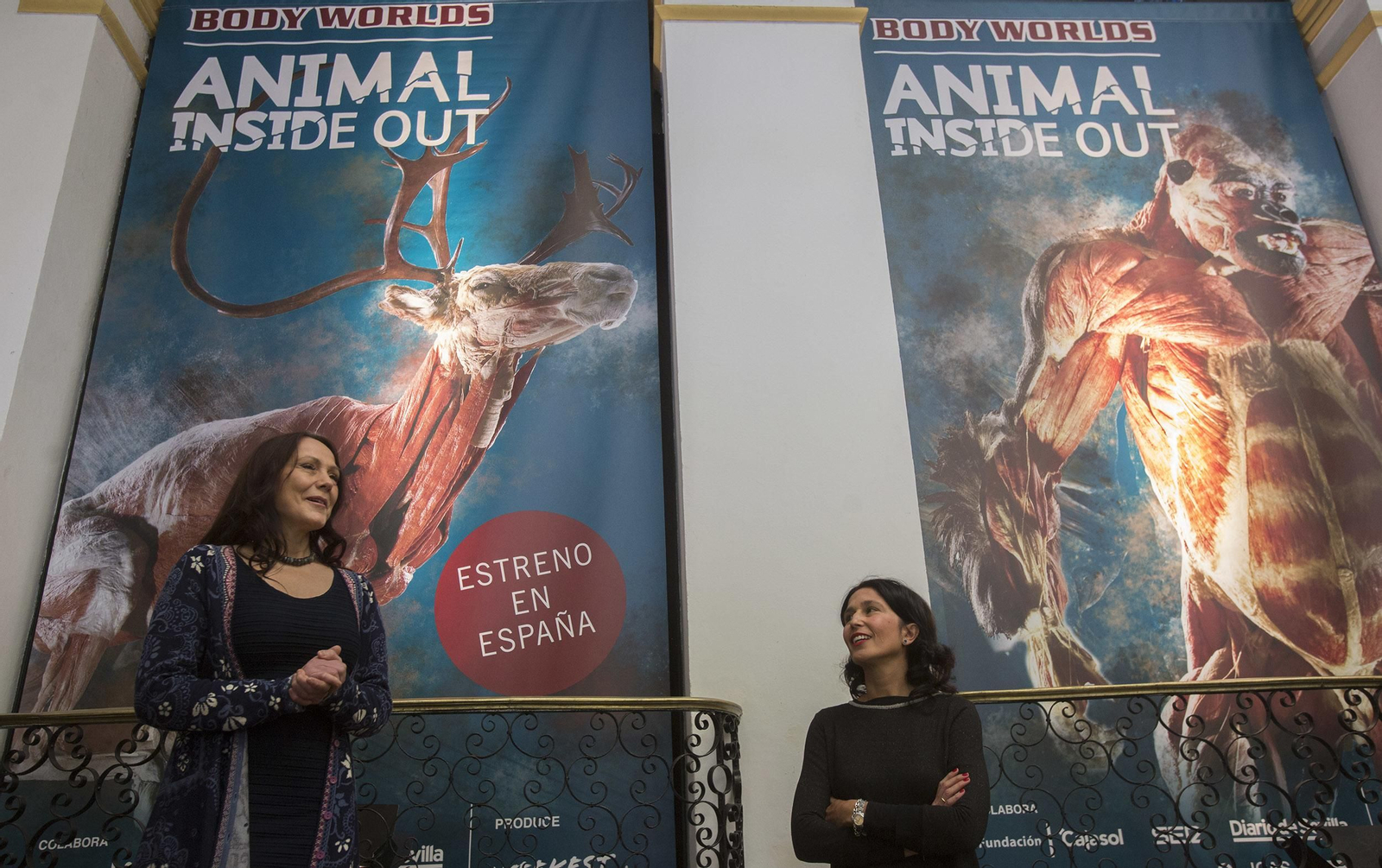La exposición 'Animal Inside Out', en Sevilla