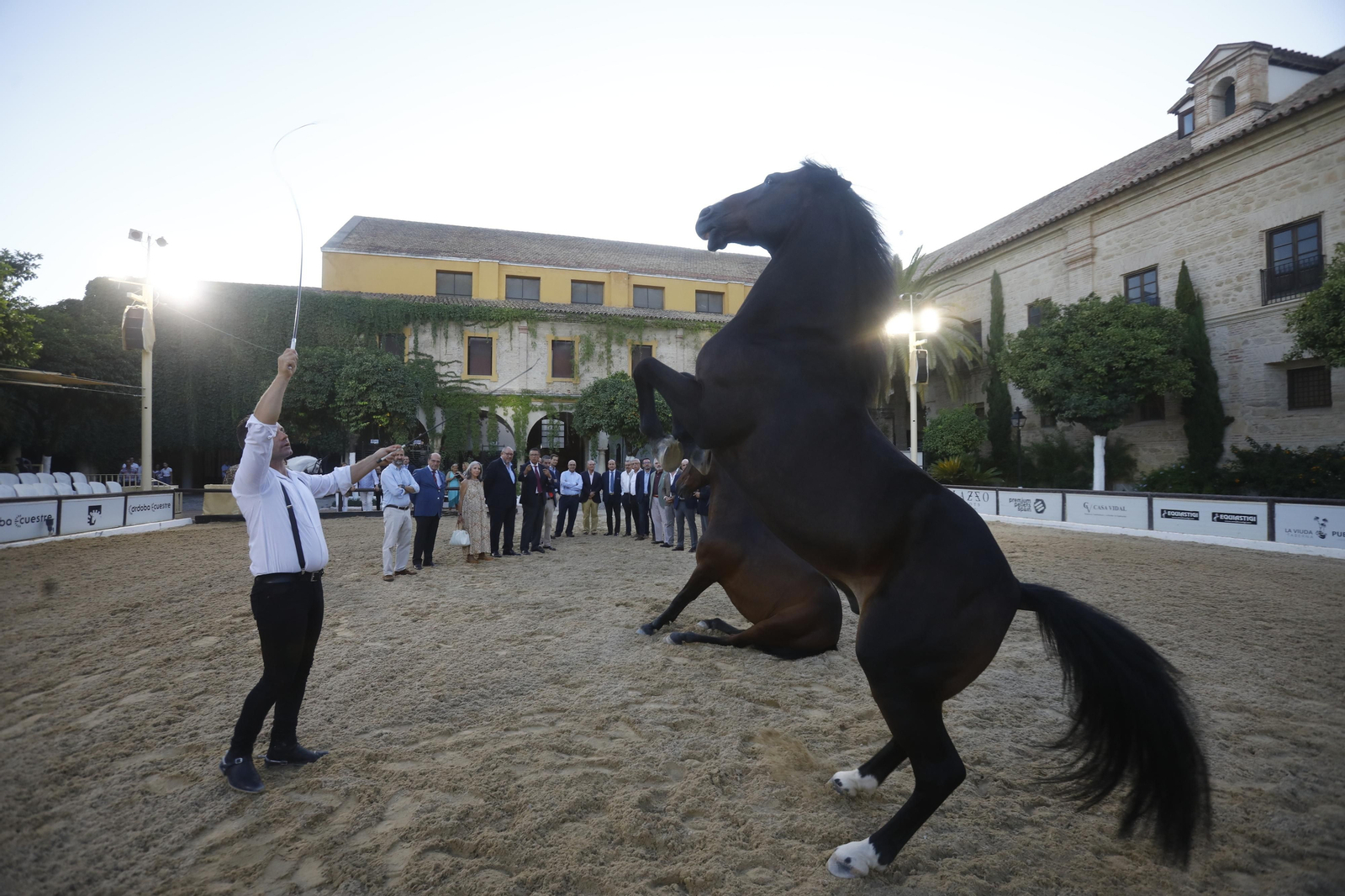 El arranque del XXVII Concurso Morfológico de La Feria del Caballo de Córdoba, en imágenes