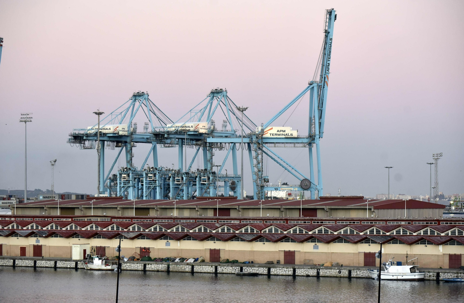 La lonja pesquera del Puerto de Algeciras.